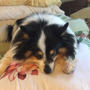 Meet your Posher, Diana